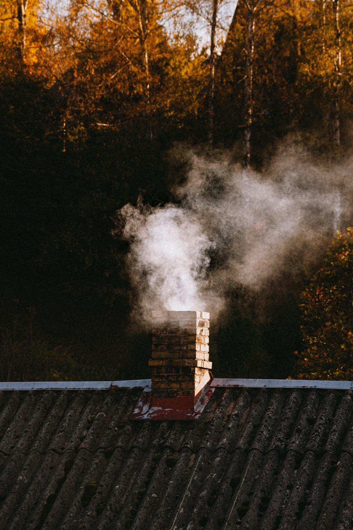 Professional chimney cleaning work