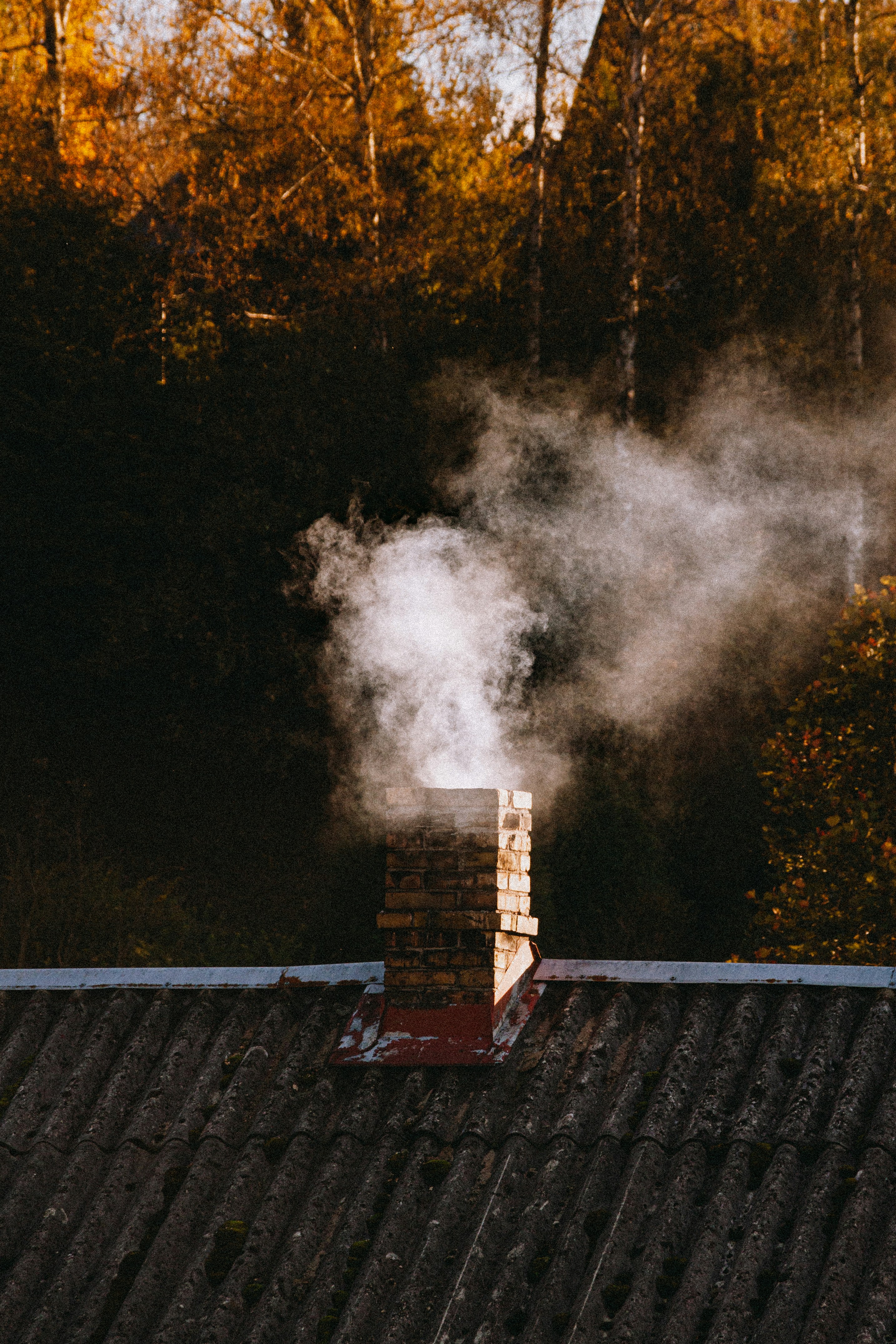 Professional chimney cleaning service